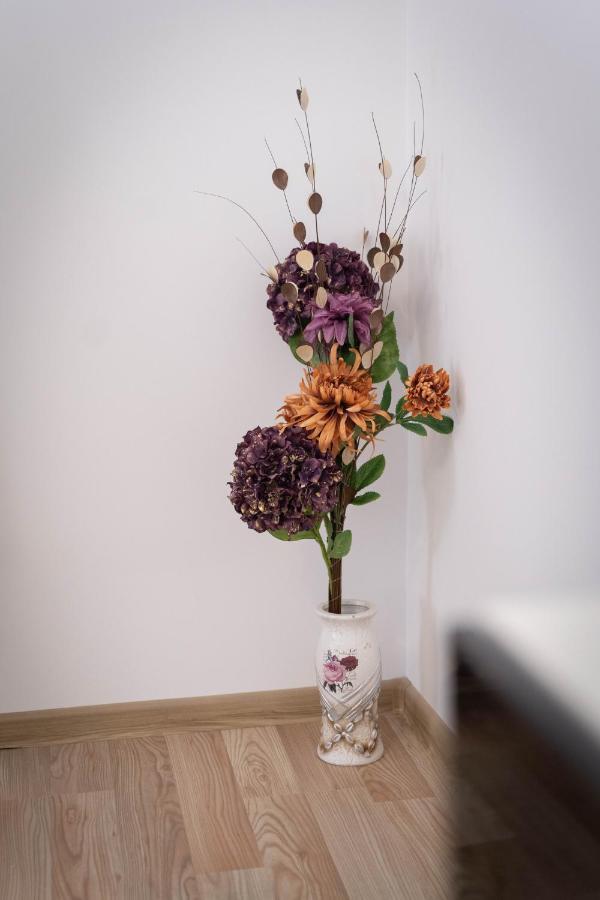 Isaran Coresi Apartment Braszów Zewnętrze zdjęcie